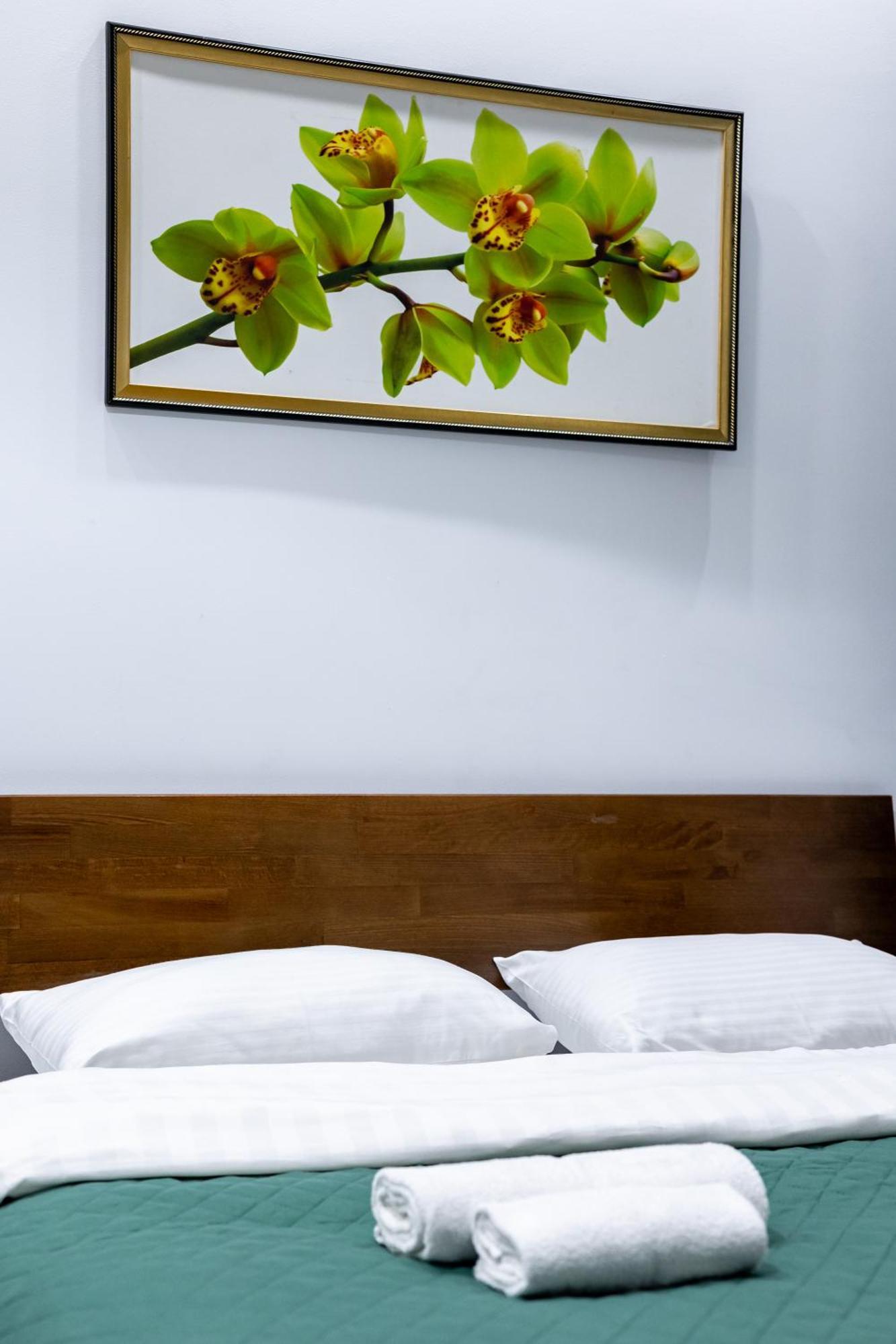 Cozy Apartments Center إلفيف المظهر الخارجي الصورة