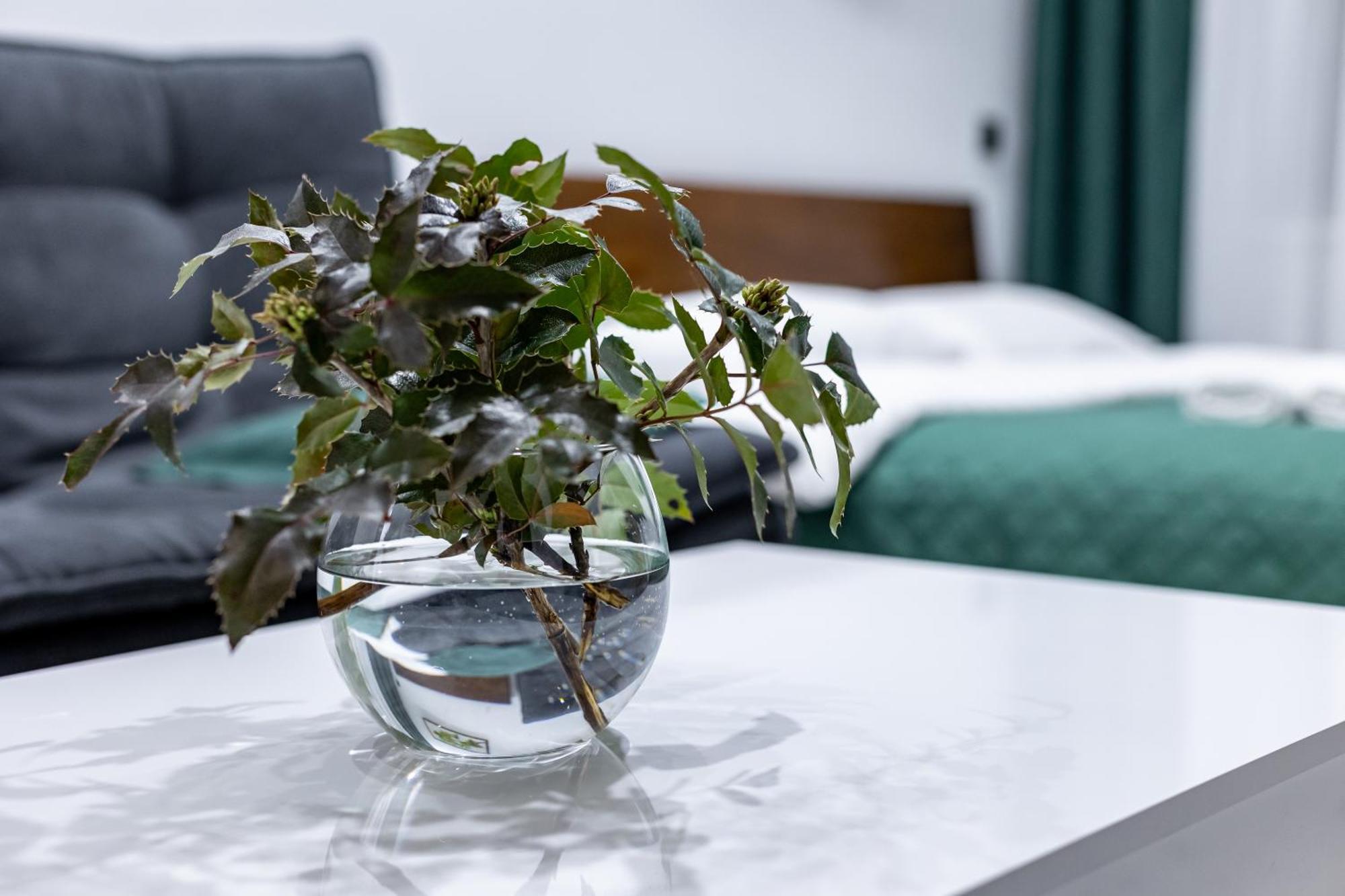Cozy Apartments Center إلفيف المظهر الخارجي الصورة
